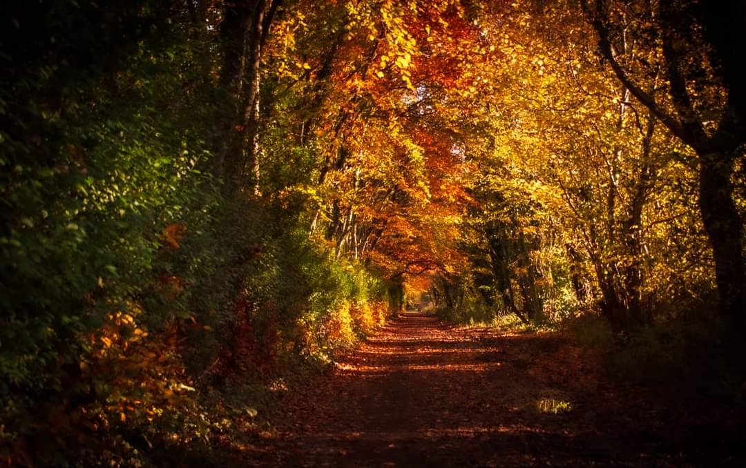 Autumn in Dolgarrog Conwy valley @ItsYourWales @SabrinaJayneLee @Sue_Charles @Ruth_ITV @BBCWalesNews @BBCWthrWatchers @kelseyredmore @LucyWeather @DerekTheWeather @behnazakhgar @ExplSnowdonia @visit_snowdonia @snowdoneryri @RAW_Adventures