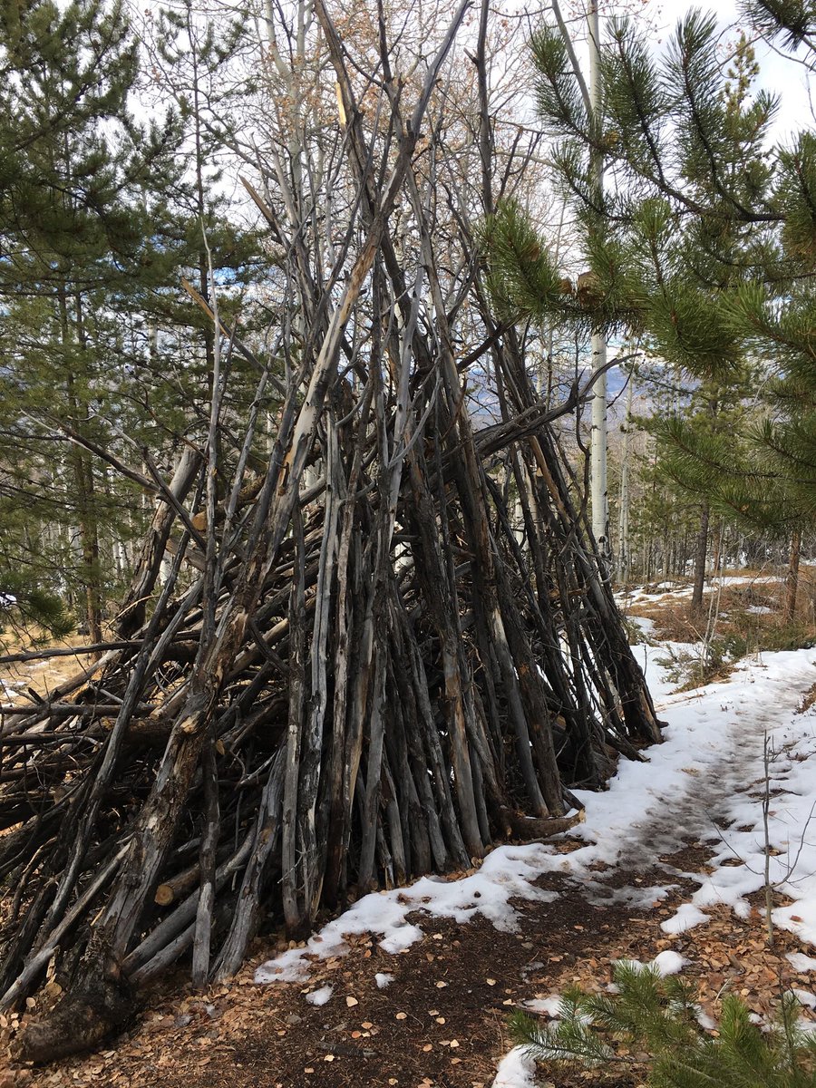 wind4me's tweet photo. I pulled a #Hamstring dragging trees 

I used my #CBD a and #THC from @marysmedicinals 

I’m walking again, sore , and on the hot pad, but walking again 

#CannabisWorks #CannabisMedicines 

I #BuildPyramids #Transparency #PotStocks https://t.co/Hkeb8C647c