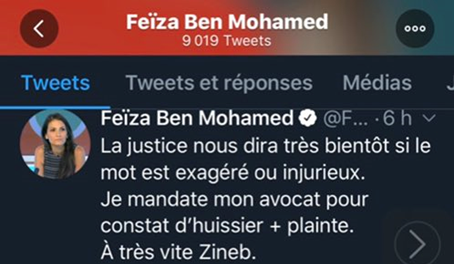 16/ Ces campagnes sont parfois assorties d’entreprises de dénigrement et de diffamation contre des cibles ennemies: par exemple  @ZinebElRhazoui ou bien sûr  @magicalorrs