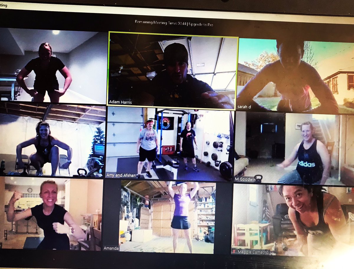 AHARRISFITNESS's tweet photo. All the ladies looking extremely pleased to have crushed a Zoom Workout on a Sunday morning.
If a billion Burpees and a million Push Ups (sic!!) sounds like your idea of fun email me now to train remotely!!
.
.
.
#adamharrisfitness #denverfitness #denverfit #denverfitfam https://t.co/grKwD12j7z