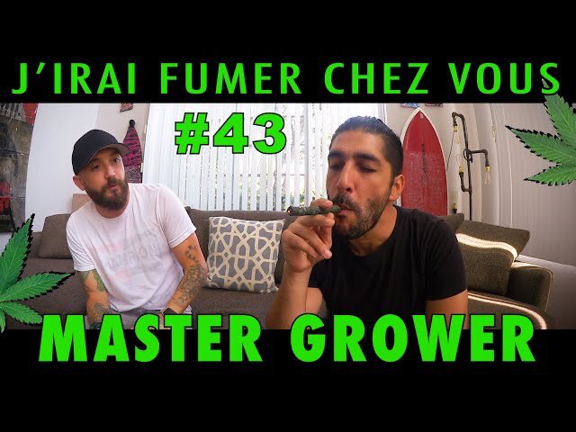 NomanHosni's tweet photo. Back! Nouvel épisode! Avec @botafarm ! #jfcv #jiraifumerchezvous 
https://t.co/whnRLSDEzS https://t.co/QUOhbYSYCL