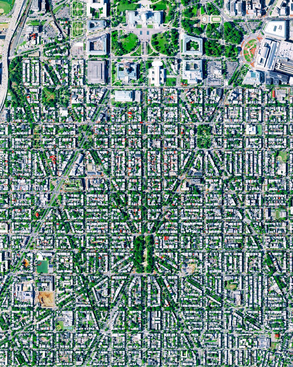 Location | Washington DC, USA

Lincoln park established in 1867 is a park in the center of the urban Washington DC. Pierre L'Enfant, the French-American, is the man behind the design of the streets in Washington DC (L'Enfant Plan).

#lincolnpark #washington #washingtondc #dc #usa