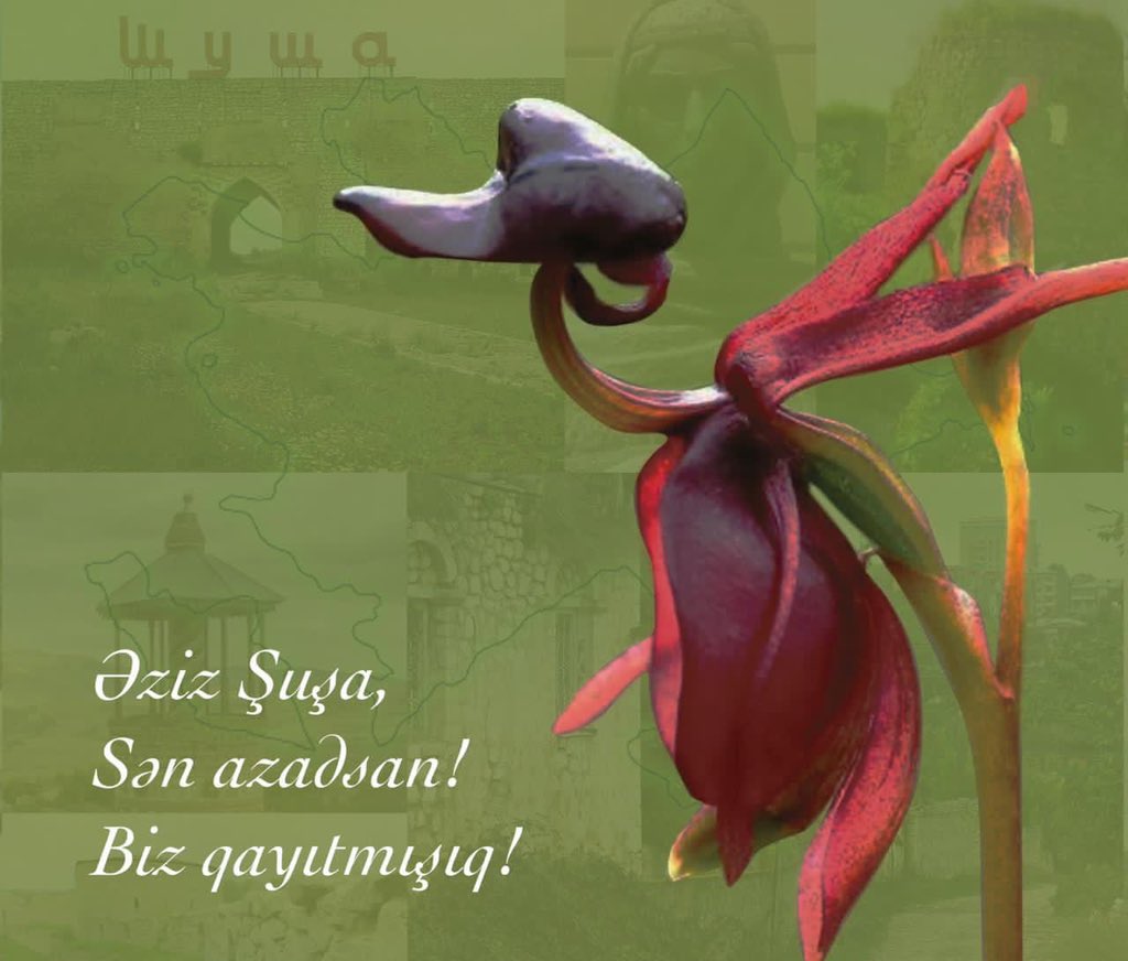 Bura Vətəndir,
Gülü bitəndir.
Əlim çatandır
Ünüm yetəndir.
     🇦🇿♥️🇦🇿
#KarabakhisAzerbaijan