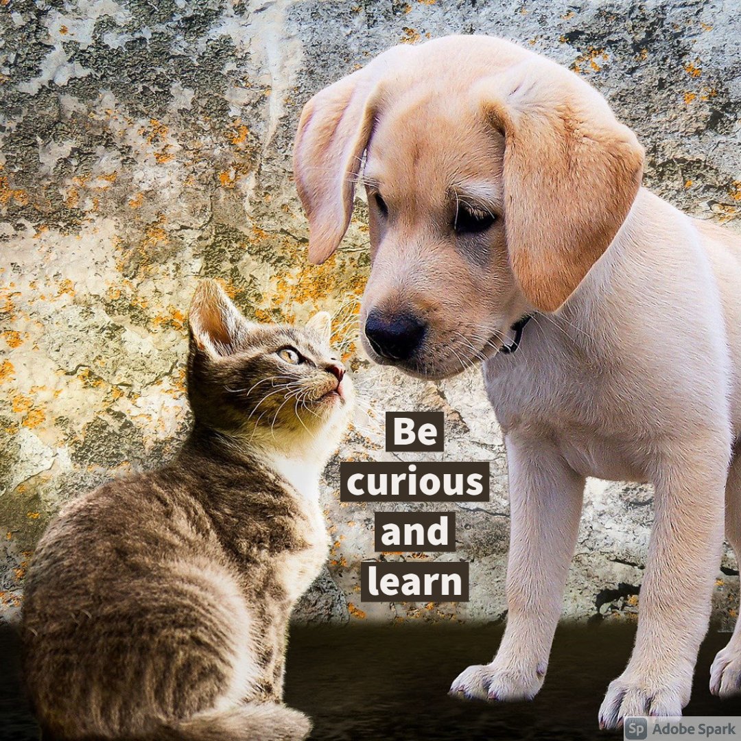The social animal in us may be hungry for interaction right now. How do others cope? What's their strategy? Ask this question of someone this week, and just make sure you stick around for the answer. You never know what you could learn.  (Or you could always ask here) 😉
