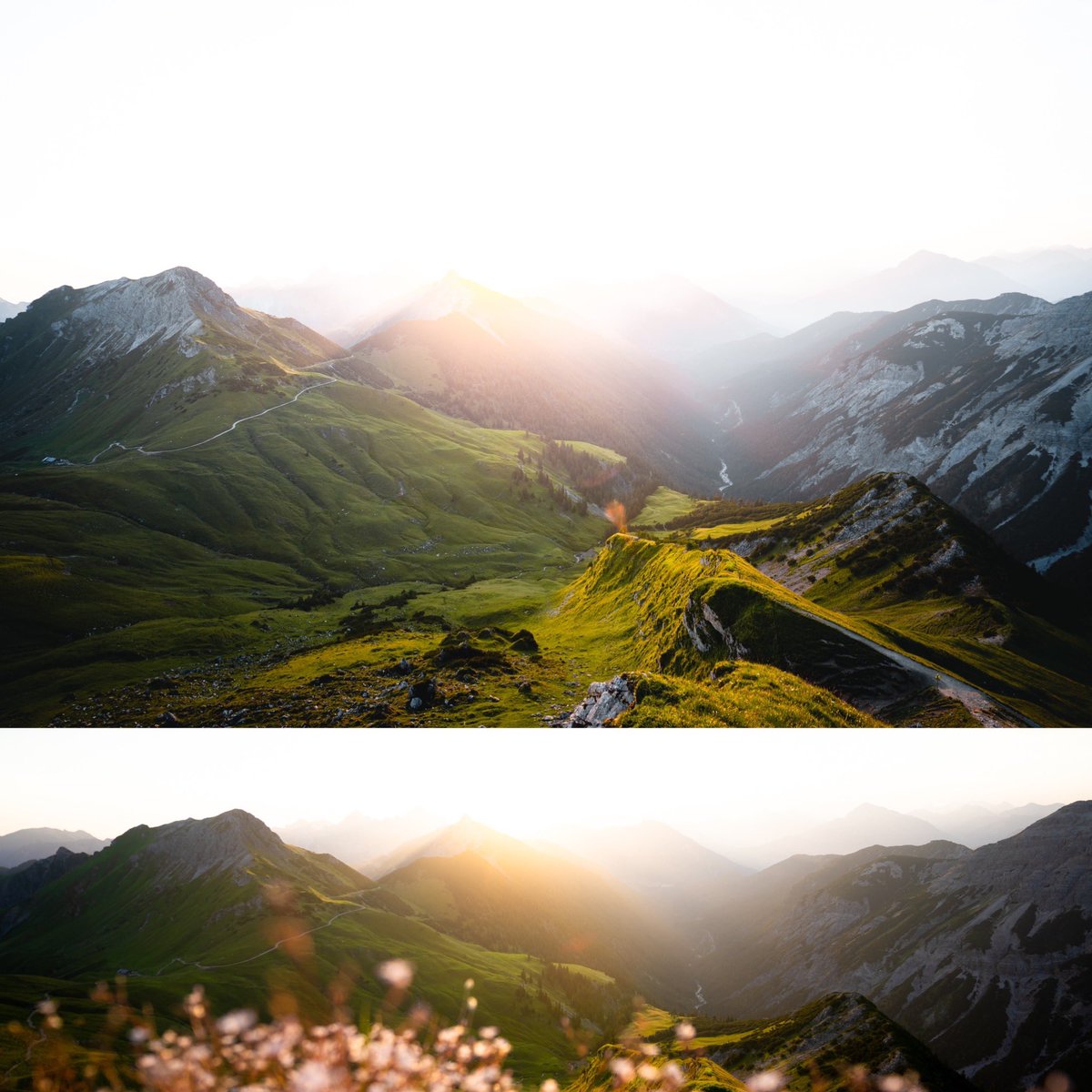 _lukasrichter's tweet photo. Mornings in the mountains are the best! #allgäu #pfronten https://t.co/tHyuys944J