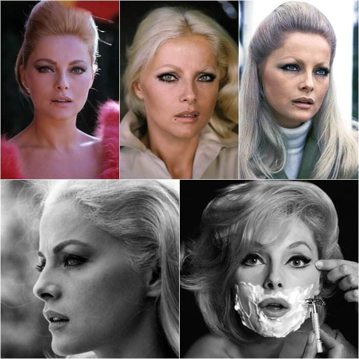 barbaravitali2's tweet photo. Remembering #VirnaLisi November 8,1936_December 18,2014 (Age 78) #HowToMurderYourLife #AssaultOnAQueen https://t.co/KTz4Gs2rOJ