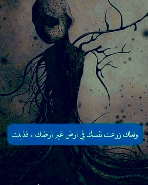 سراب 🕊♛برج الميزان⚖️ tweet media