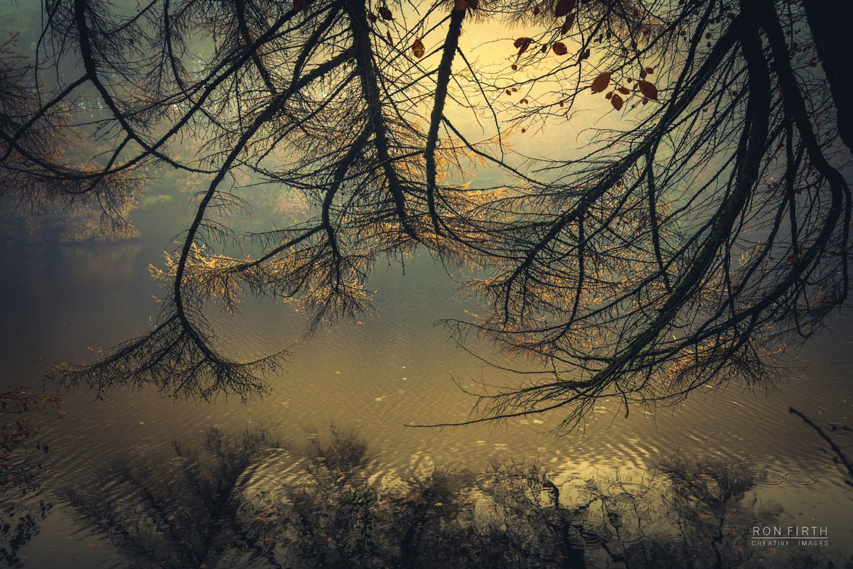 Misty morning at Ryburn Reservoir. <a href="/Calderdale/">Calderdale Council</a> <a href="/VisitCalderdale/">Visit Calderdale</a> <a href="/ThePieceHall/">The Piece Hall</a> <a href="/CalderdaleLife/">MustVisitYorkshire</a> <a href="/HXCourier/">Halifax Courier</a> <a href="/TheBeaconHx/">The Beacon Halifax</a> <a href="/HistoricEngland/">Historic England</a> <a href="/deanclough/">Dean Clough</a> <a href="/YorkshireWater/">Yorkshire Water 💧</a> <a href="/DiscoverHx/">Discover Halifax</a>
#Halifax #architecturephotography #Reservoirs #water #trees More images at ronfirthcreativeimages.co.uk