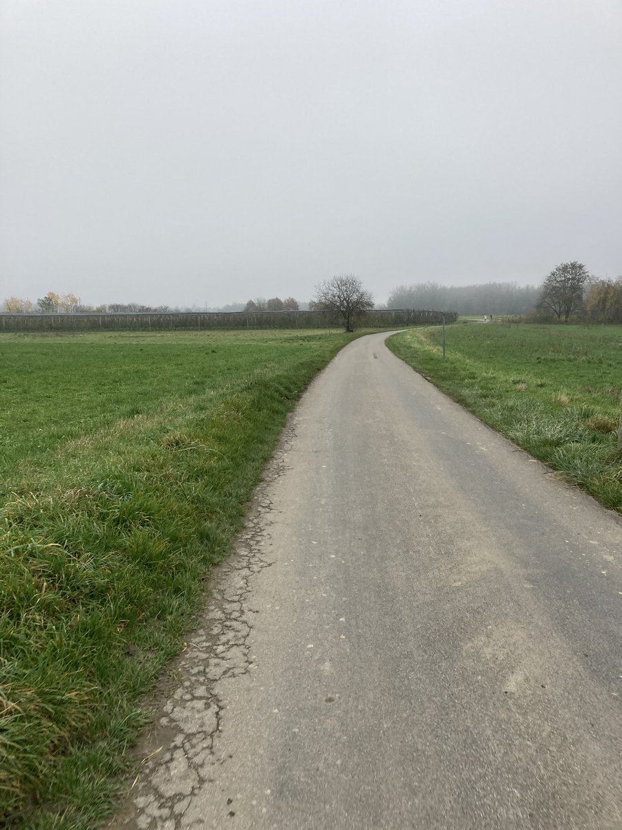 maierst's tweet photo. Ein richtig selbstbestimmter Sonntag mit Schoko-Resteverwertung beim Backen, frischer Luft #Laufcomeback etwas #Renovierung mit der Dame des Hauses, dann Hefe-Verwertung und Optimierung der Fleischküchle-Künste. Heute alles gut - morgen wieder Wahnsinn🤷🏻‍♂️ https://t.co/esIpuSfrVl
