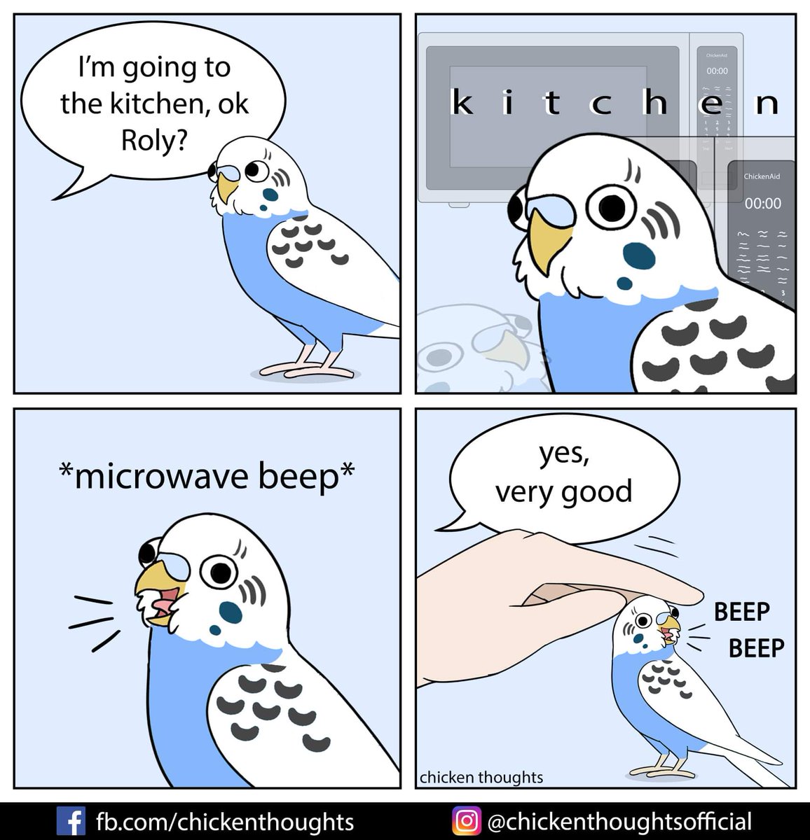 Featuring Claire Tŋ's budgie, Roly! 