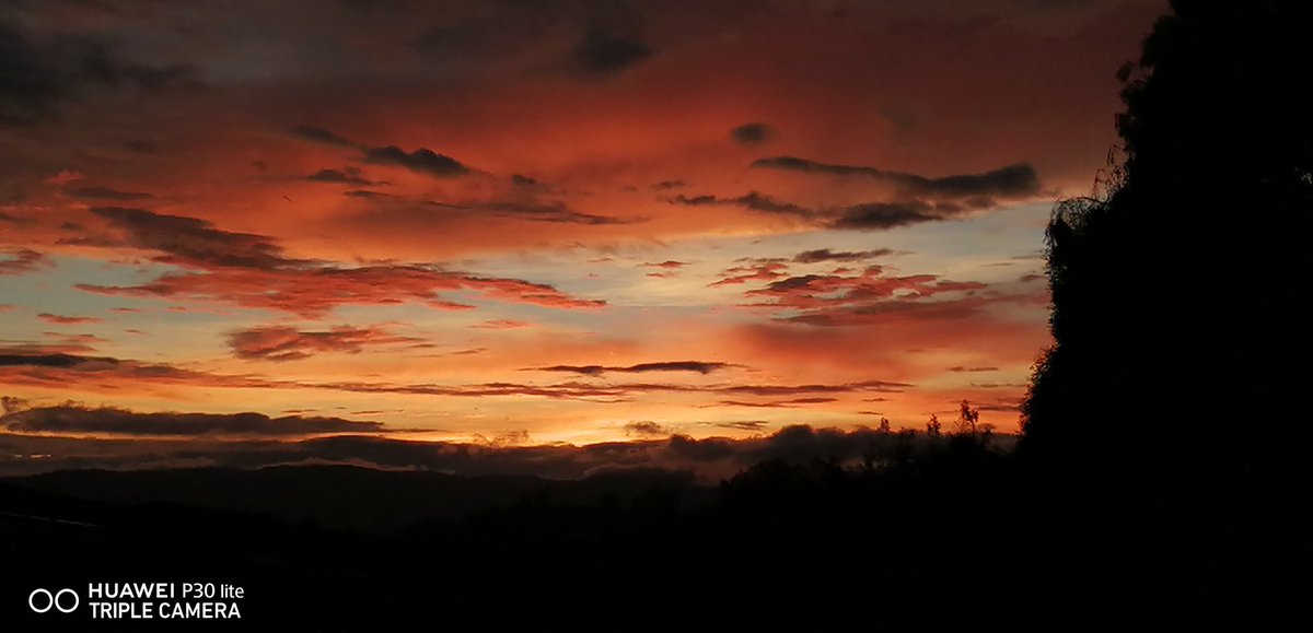 JairoVa52800407's tweet photo. Esto es una belleza. 😇😇 https://t.co/g4WYAY7ySq