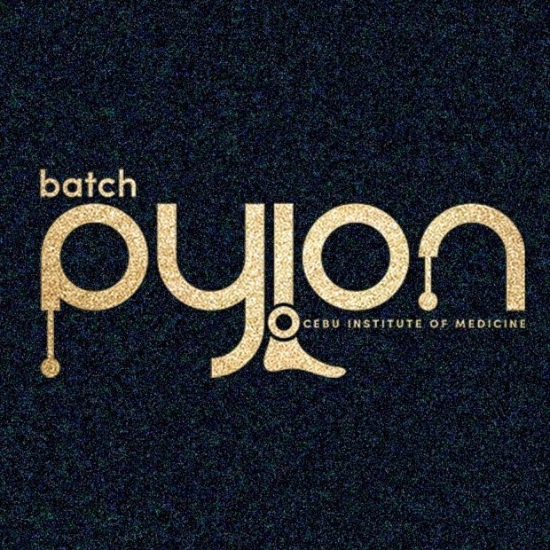 champ_wayne's tweet photo. #BatchPylon #CIM #PLE2020 ๐ฏ https://t.co/tEHgYZede0