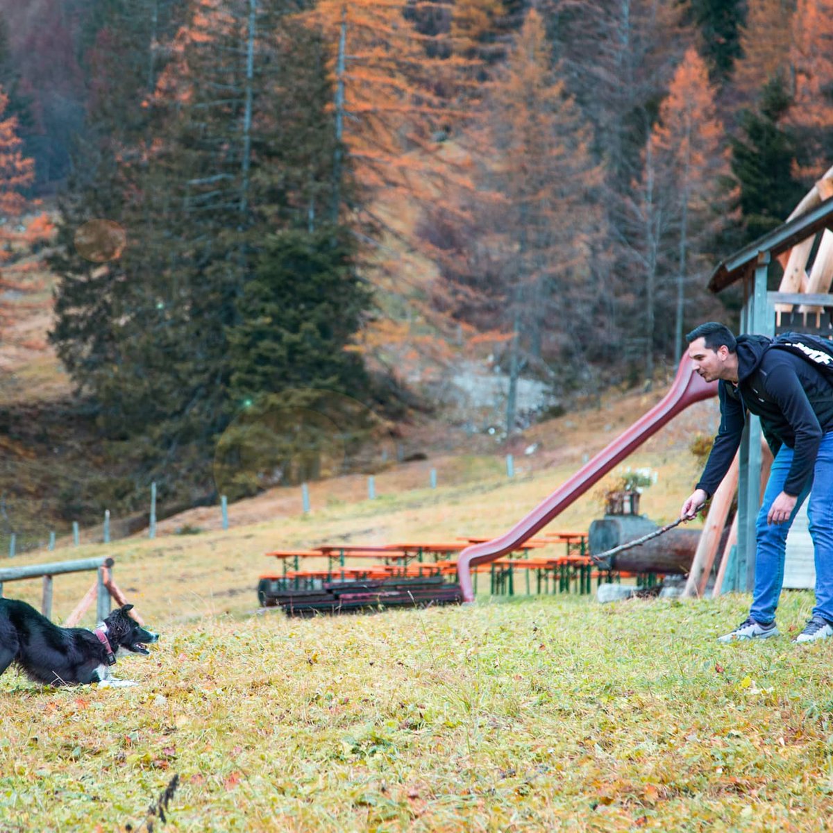 Bojan_ajmo's tweet photo. Just have fun and enjoy your freetime #family #love #forest #mountains #FolloMe #TRAVEL #Austria #Covid_19 #USAelection2020 https://t.co/jOXRTauu4a