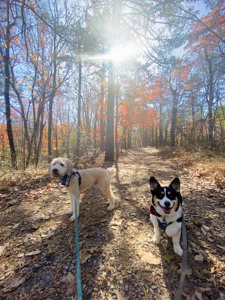 MissRoebuckFRES's tweet photo. Fall adventures 🍂 #getoutside #exploreNC #SelfCareSaturday https://t.co/ZgTGK5sbTY