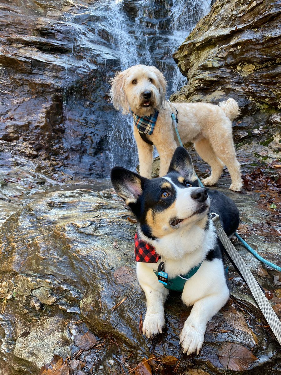 MissRoebuckFRES's tweet photo. Fall adventures 🍂 #getoutside #exploreNC #SelfCareSaturday https://t.co/ZgTGK5sbTY