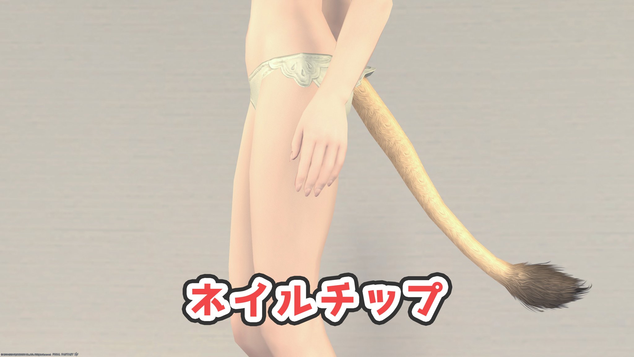 コニー 光のブロガー ネイル装備の見た目 入手方法をまとめてみました クロウ オブ ビースト ゴールドソーサー ネイルチップ 蛮族クエ アナンタ族 リパブリックシグニフェル フィンガレスグローブ Pvp ディアンドルリストトーク 課金