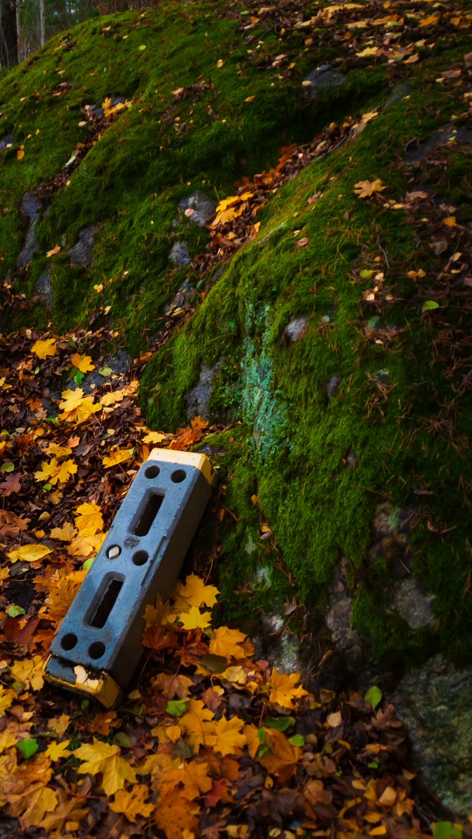 Enjoying walks during the Fall (while we have sun here...)