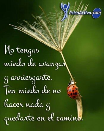 DetsyFlores's tweet photo. Mis muchachon@s feliz tarde del Domingo del Abrazo en Familia, disfruten a sus chamos, abuelos, con café, sonrisas y alegrías, besotes se les quiere 🤗☕🙏😘😀🌸💖 https://t.co/MEqFwZu9ZK