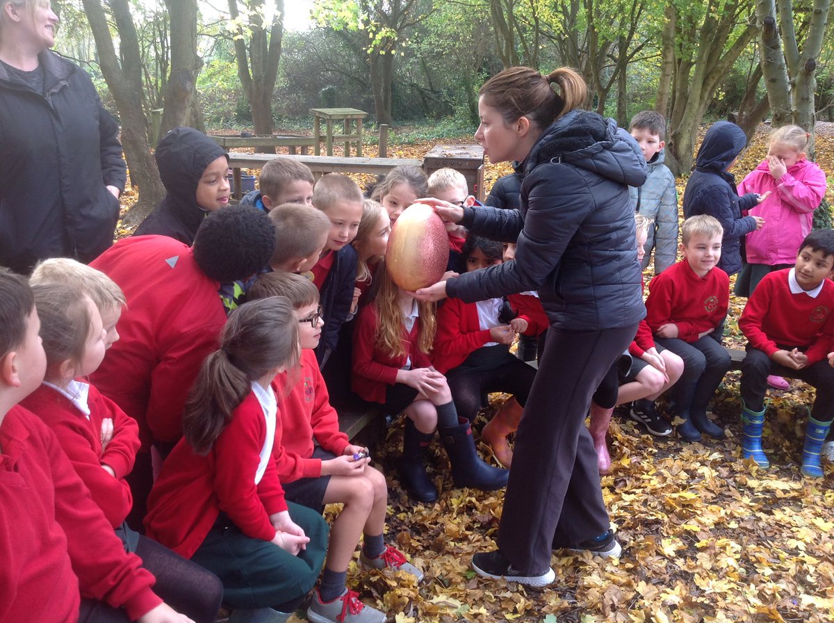 CherryOrchardPS's tweet photo. Year 3 had a mysterious delivery of chocolate and went into Forest School to eat it in secret. There they discovered an unusual egg, with a note inside it granting everyone 3 wishes! @CherryOrchardPS @RiversTsa #hookintolearning #aweandwonder #newtopic https://t.co/zeorsw9XOj