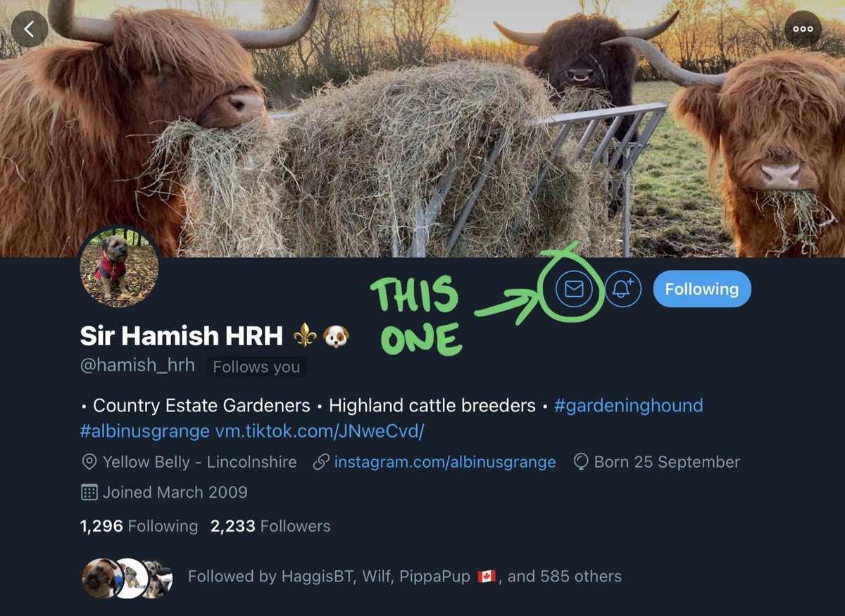 LimeOscar's tweet image. Iz this one pal 👍🙃🐾 #TechBT