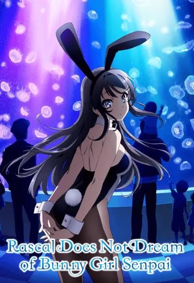 kaguya sama love is war vs. bunny girl senpai