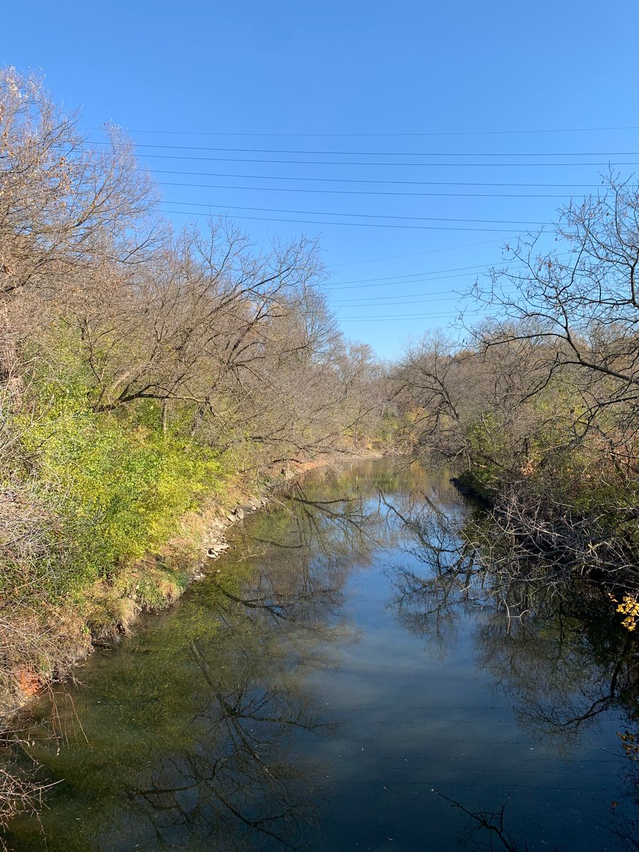 Crothers Woods Park in East York. You can get there via the East Don trail or park at the Loblaws at Redway Rd (off of Millwood) to get to a marked trailhead. We hiked the Sun Valley loop and Cottonwood flats today. Easy 2.5 km hike.