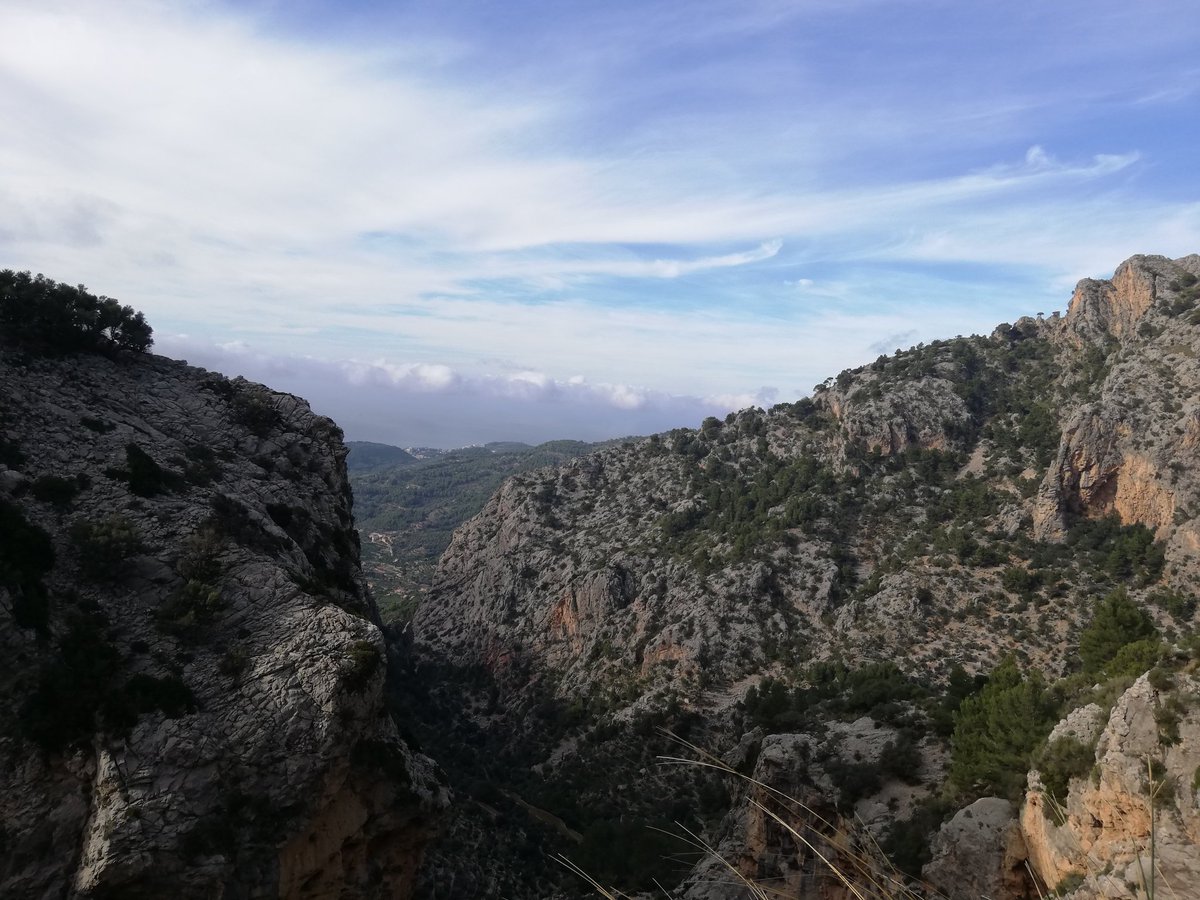 DalmauMB's tweet photo. Avui ha tocat anar d'excursió en el Barranc de Biniaraix. Ha estat un diumenge entretengut amb la millor companyia 💚 #22121 #22121-UIB https://t.co/YODZSeN3p1