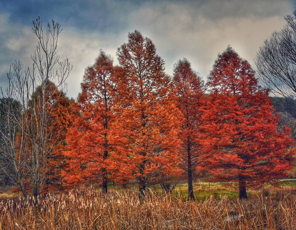 capturedbyglo's tweet photo. Fall Season never disappoints!!!! #roadtripdiaries https://t.co/rK2sTGf8cv