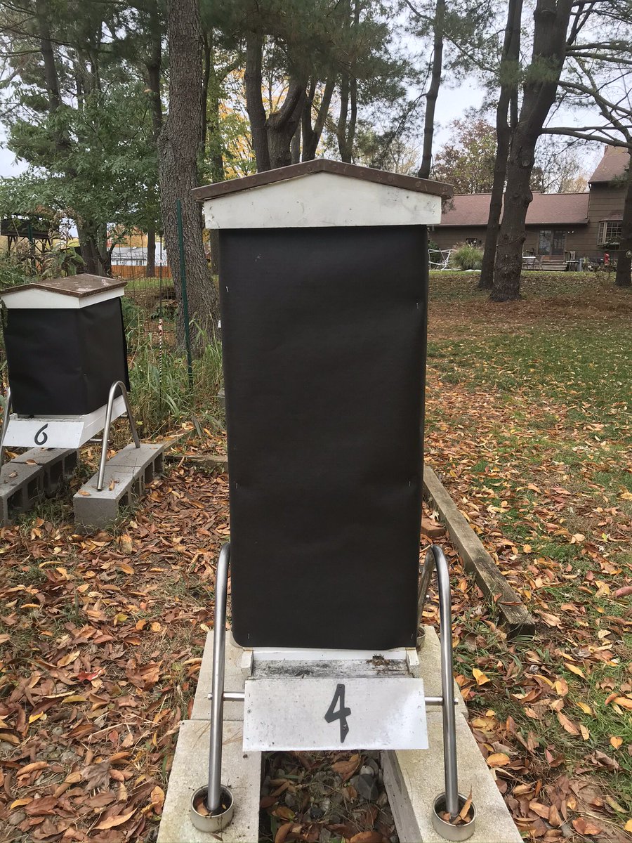 BugGuy5's tweet photo. Beekeeping is a challenging hobby. Honeybees are livestock requiring yearlong monitoring and management inputs. In the fall we wrap our hives, add mouse guards and moisture boards, and feed winter patties high in carbs and low in protein to increase overwintering survival rates. https://t.co/JBtUbNsewj
