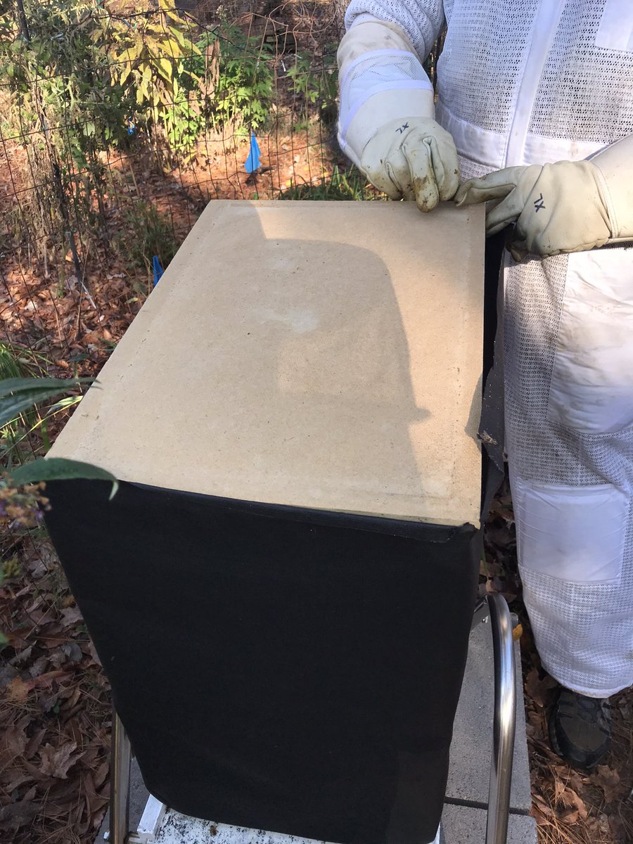 Beekeeping is a challenging hobby. Honeybees are livestock requiring yearlong monitoring and management inputs. In the fall we wrap our hives, add mouse guards and moisture boards, and feed winter patties high in carbs and low in protein to increase overwintering survival rates.