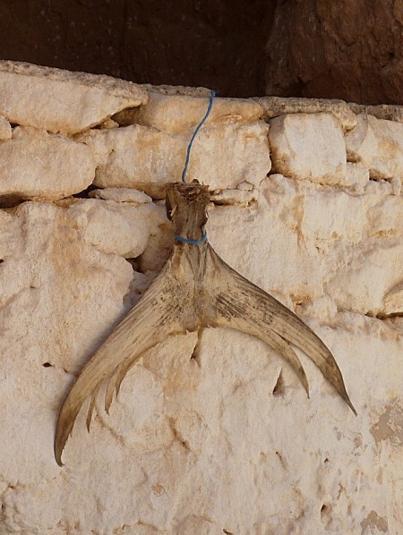 Conclusion: With most the population living on the Mediterranean coastline, the sea shaped the history & culture of the country -North to South- and its riches has fed its people for centuries.Like the Phoenicians that once flourished in the region, Tunisians are a sea people!