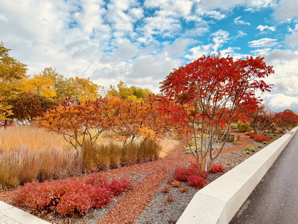 eyring_dotcom's tweet photo. I‘m a summer guy, but autumn can be beautiful https://t.co/K3bsgOHTE9