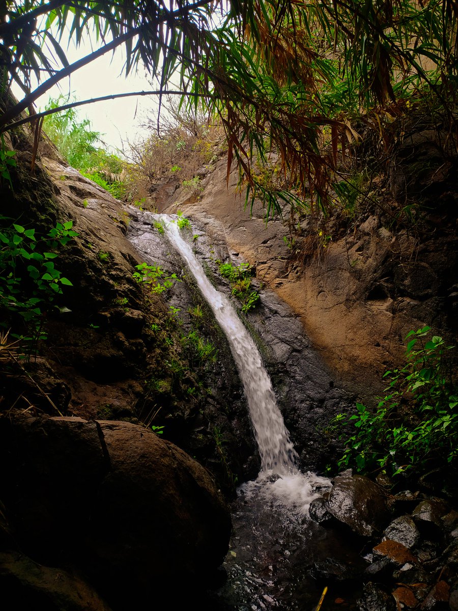 Puede parecer Tailandia, pero es Gran Canaria 🇮🇨