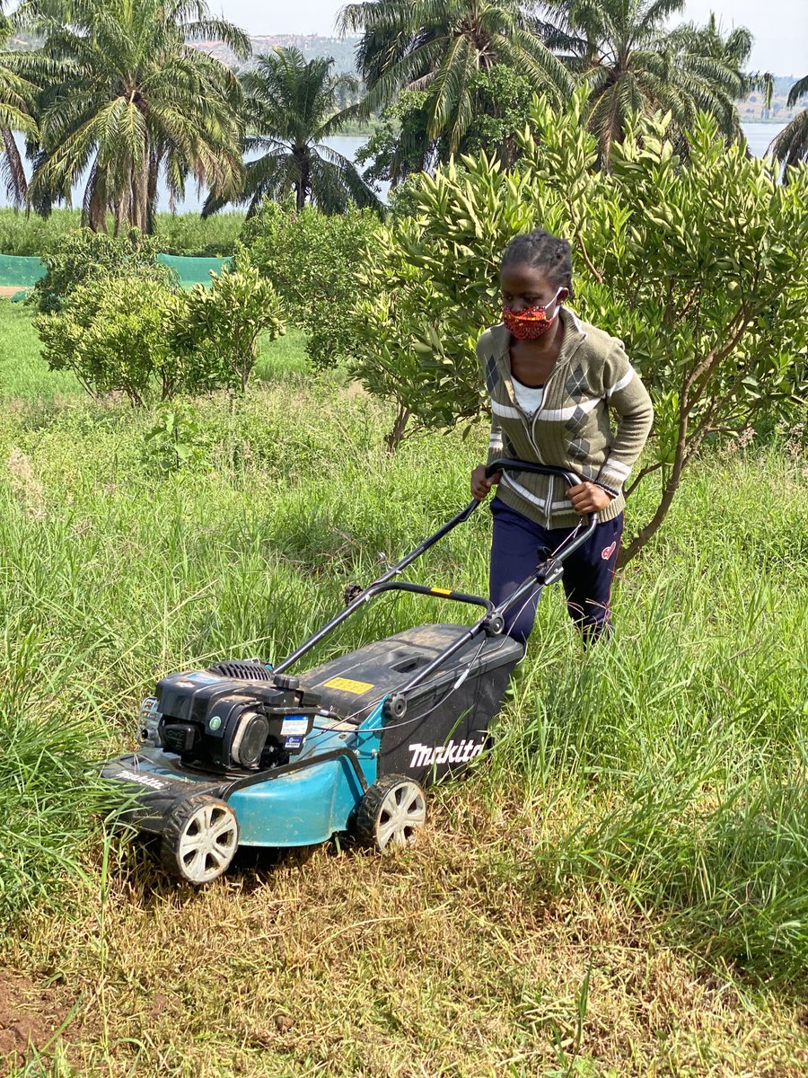 RICA_Rwanda's tweet photo. Students at the Rwanda Institute for Conservation Agriculture spent the week learning about agricultural mechanization. They had the opportunity to use an Earthway Precision Seeder, an OSU GreenSeeder Hand Planter and a mower. @Rwanda_Edu @RwandaAgri https://t.co/xzuhpyJDRp