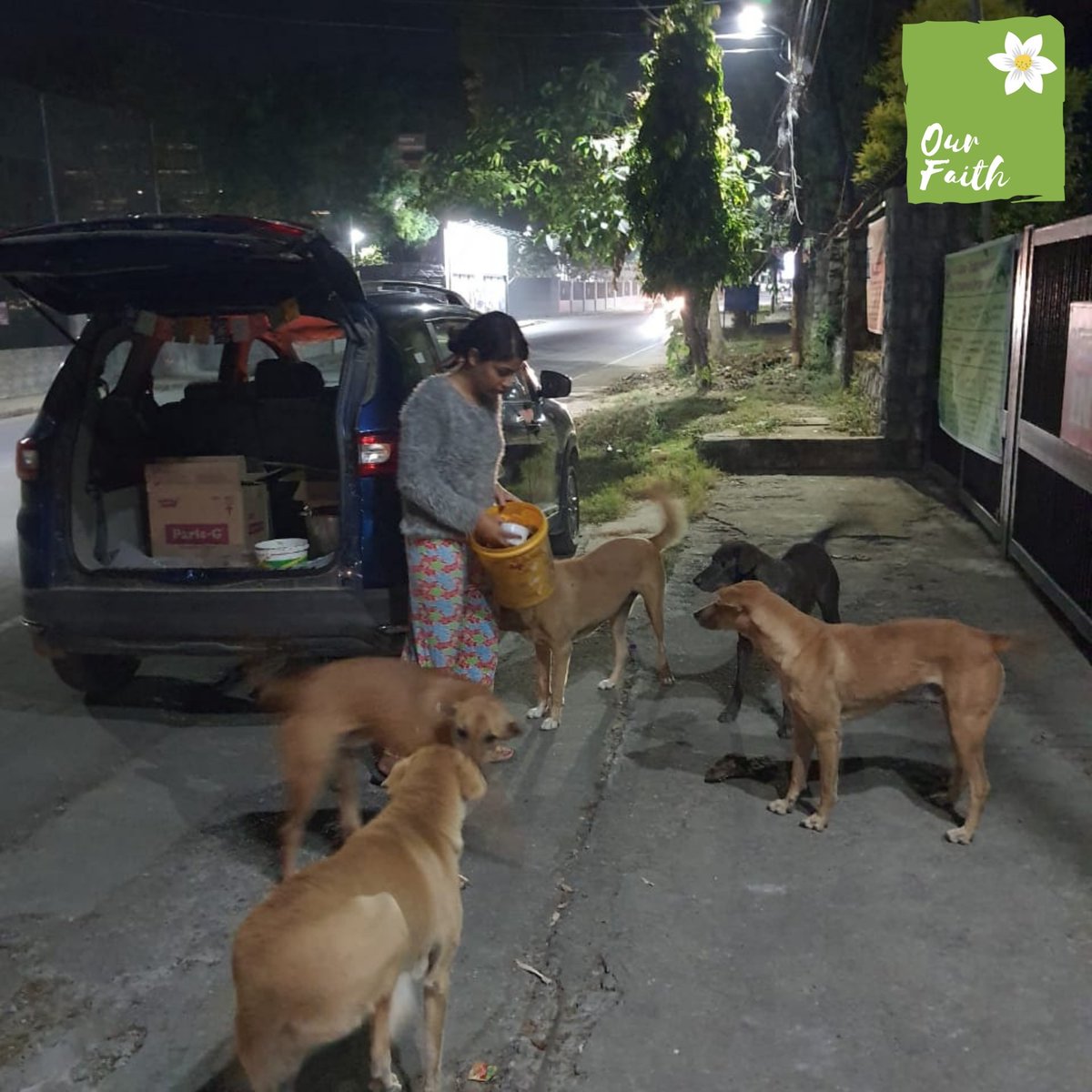 OurFaith7's tweet photo. "FEEDING UPDATE"
These drive's may not always be easy but they are definitely worth it.
#ourfaith #feedstrays #streetdogs #BeKindTowardsAnimals #dogfood #doglovers #savelives #peta #animalrescue #dogoftheday #Welfare #dogsoftwitter #adoptables #dehradun #Uttarakhand #RETWEEET https://t.co/0YARPvexLn