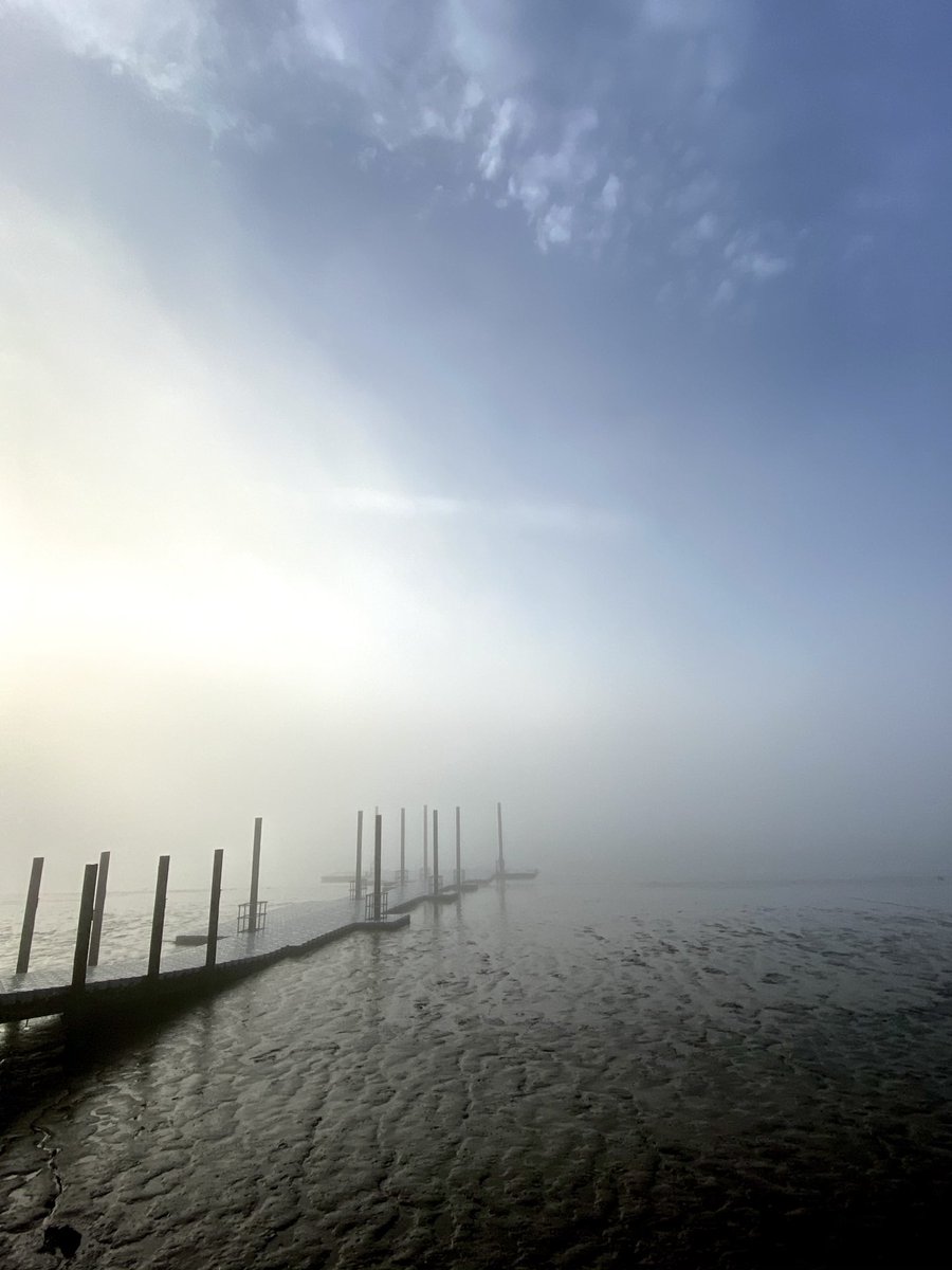 Greg Shannon tweet media