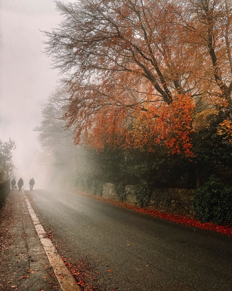 kayescaddy's tweet photo. #vanlife may be on pause but autumn walks are not. 

#yorkshire https://t.co/1H7usPcI3v