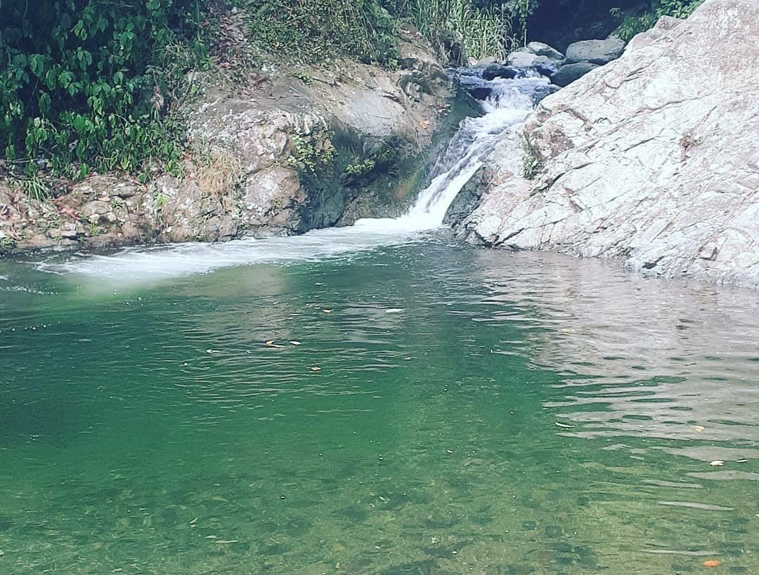 Salto el cachón, Rancho Arriba, Provincia San José de Ocoa. <a href="/Ocoaenred/">Ocoaenred</a> <a href="/ExpoOcoa/">Expo Ocoa</a> <a href="/visitocoa/">Visit Ocoa</a> @Hernani2020 @MTurismoRD <a href="/marcapaisrd/">Marca País República Dominicana</a> <a href="/pedroalegriasot/">PEDRO ALEGRIA</a> <a href="/DalisaAlegria/">Dalisa Alegria</a> #ocoa #turismord #marcapaisrd #naturaleza #charcos #saltos #rios #bellezanatural #RepublicaDominicana
