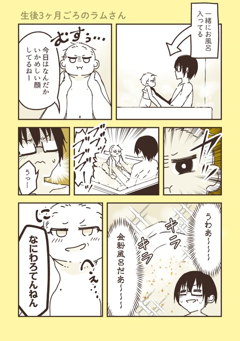 生後3ヶ月ごろのウチの娘・ラムさん(仮称)
ムスッとしてる時は要注意ということがわかりました 