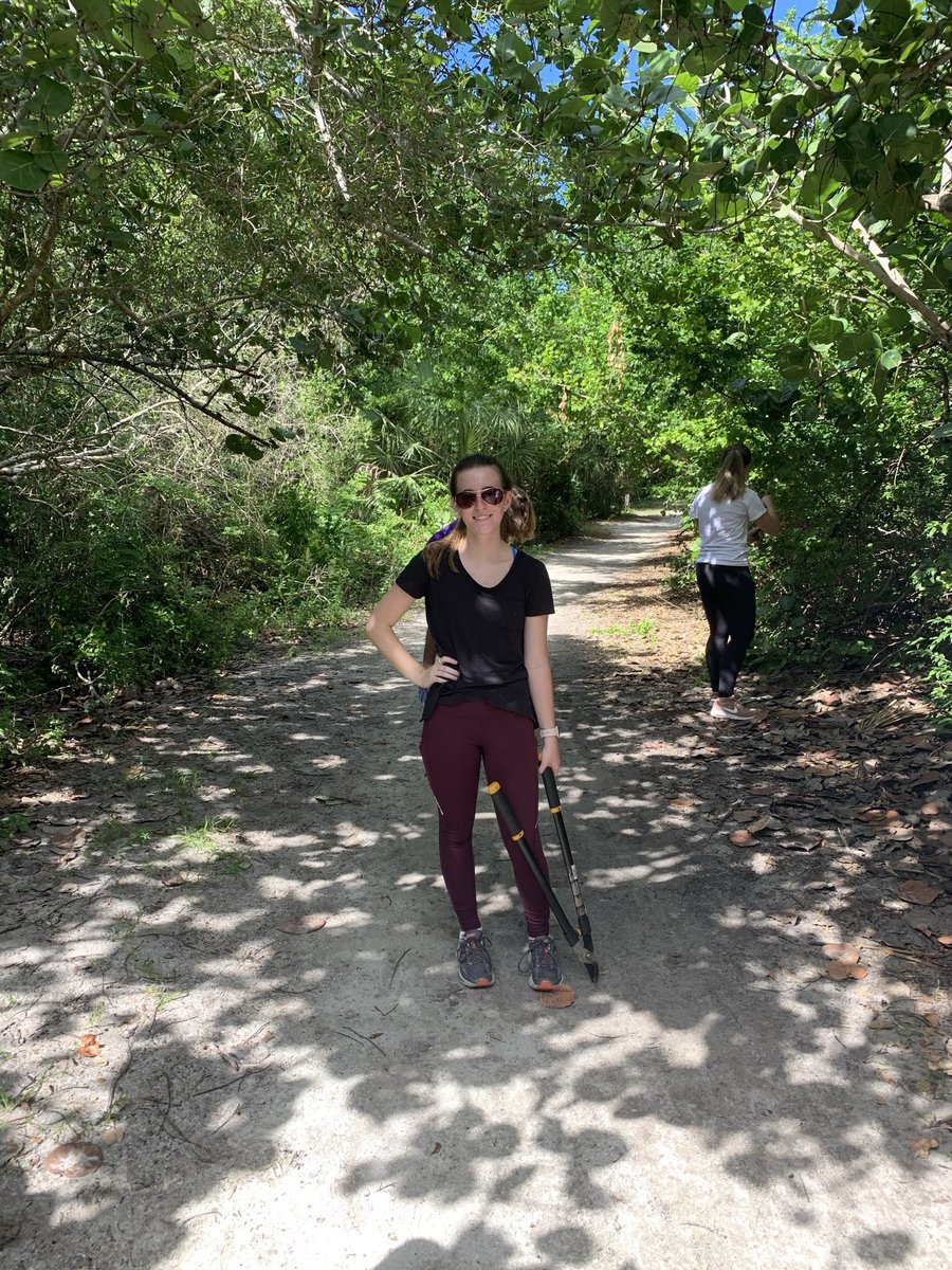 FOLKStweets's tweet photo. Here’s a few awesome pics of @fgcu students from the Honors Trails for Tails Service Learning course! These students get excited about service and get to learn awesome facts about wildlife at Lovers Key State Park! We can’t wait for our next service day! #service #learning #fgcu https://t.co/Jnh9ED8zbL