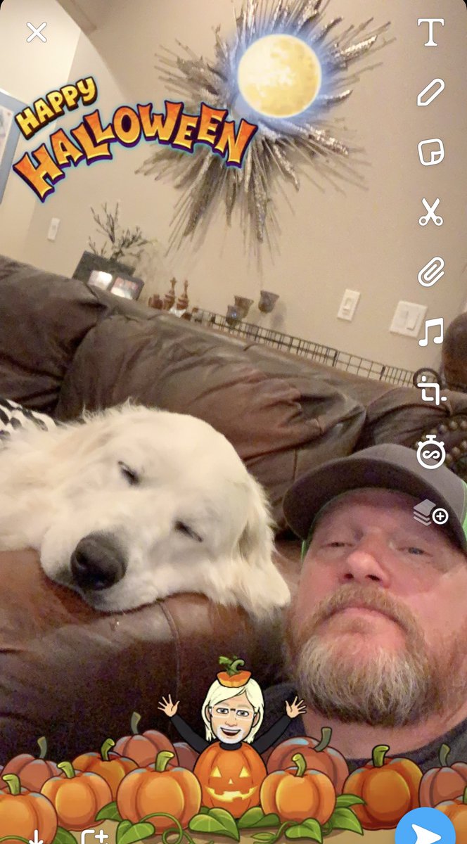 bigdaddyolson's tweet photo. Happy 1st Birthday to Beau. Couple pics of Beau on Halloween and one of him and his Brother Bodie chillin on the couch. https://t.co/Owx27RFnvm