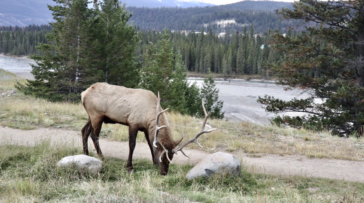 ねぎらいの言葉