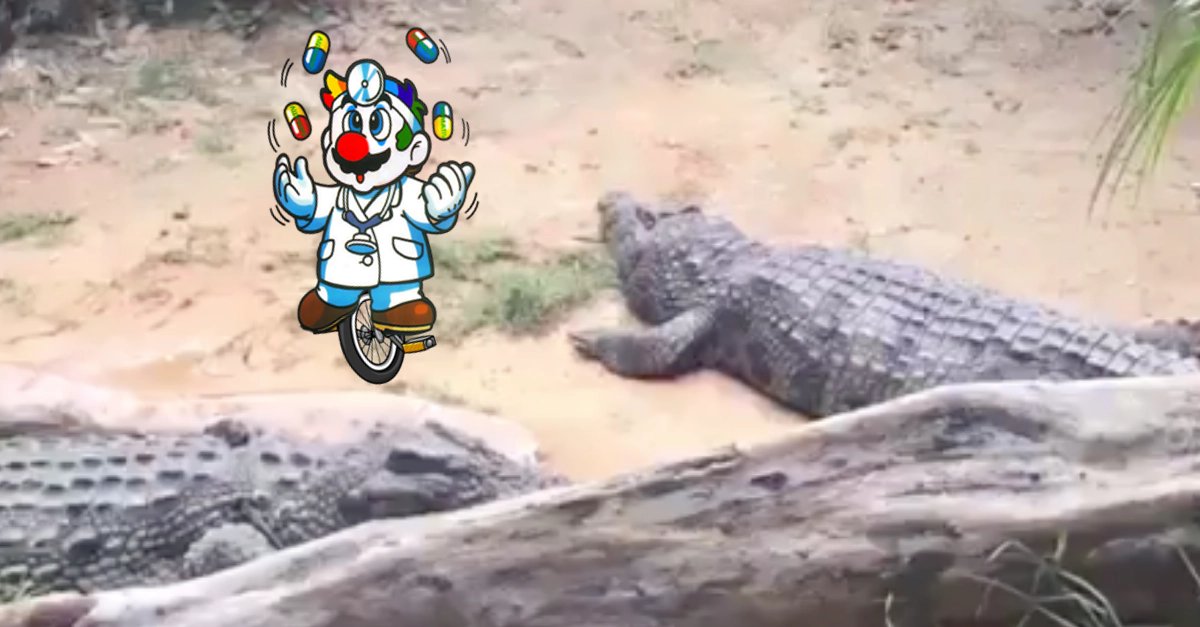 DocontheBlock's tweet image. I am doing something that is wacky and uncharatercistic. Please hit retweet.
Sidenote: Crocodile bites aren't fun.