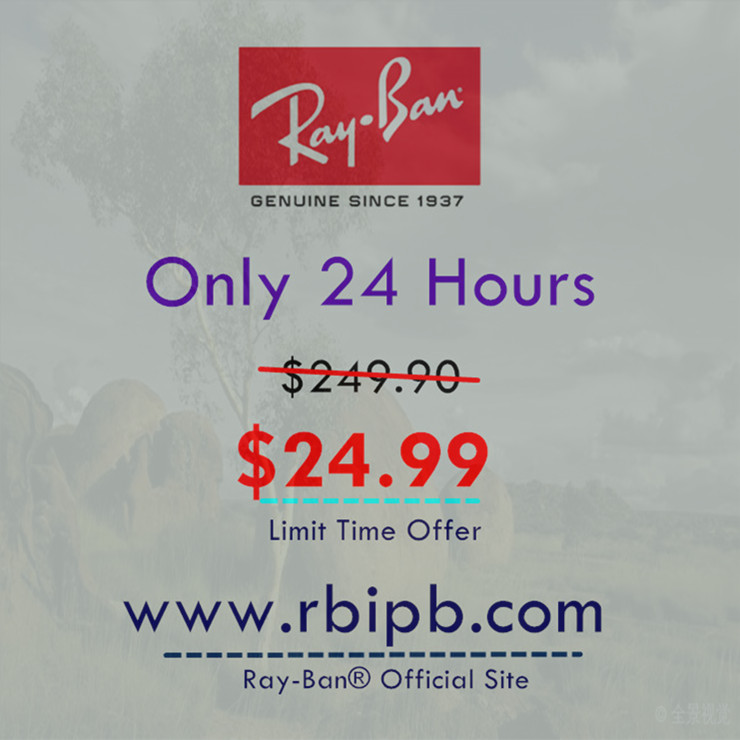 Michelle Wolfe tweet media