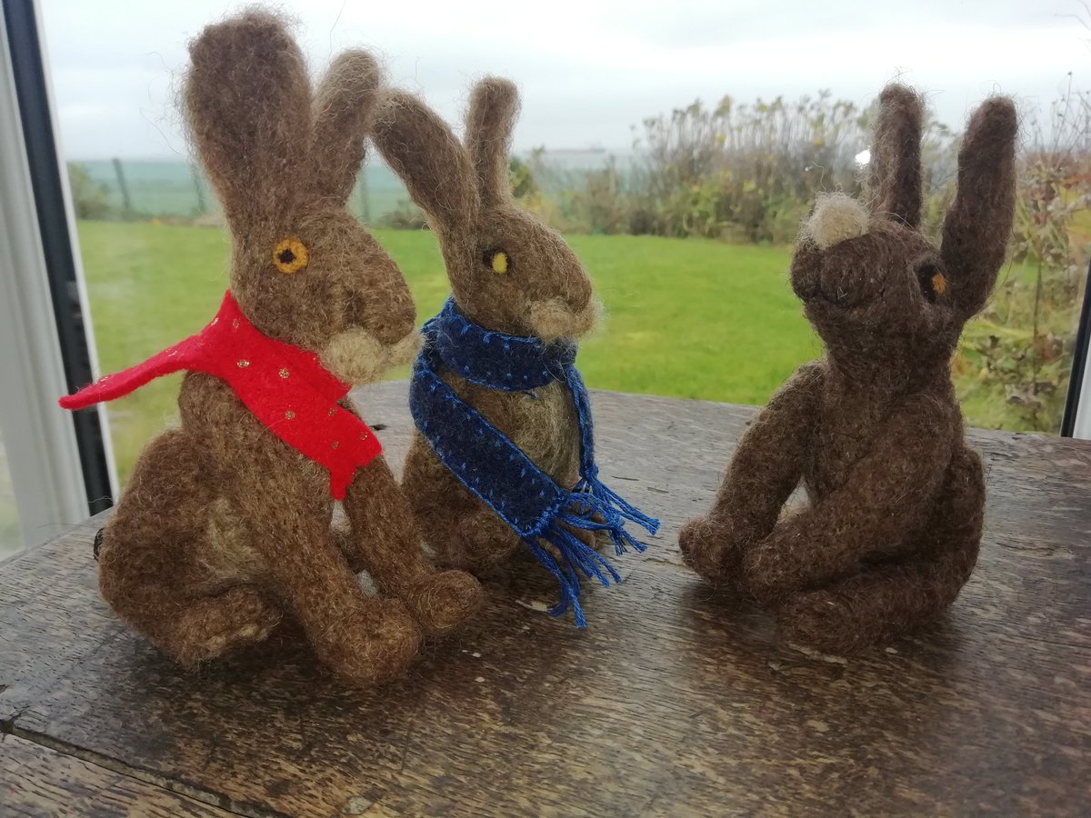 CaronCrisp's tweet photo. It's been a week of hare's going off to pastures new! 🐇🐰💕 https://t.co/LaMc1gU30f