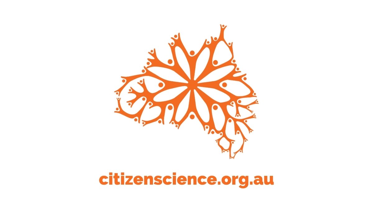 Missed out on attending #CitSciOzOnline?
Want to go back and see all those talks again?

Never fear! Our <a href="/YouTube/">YouTube</a> channel is filling up rapidly with all the #CitizenScience talks you missed out on!

youtube.com/AustralianCiti…