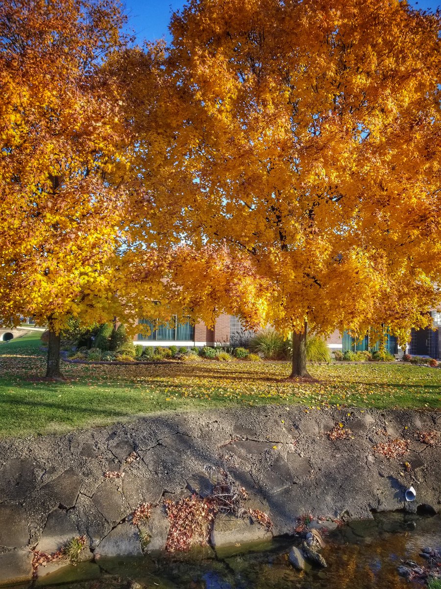 1RoyalRidge's tweet photo. Love the vibrant fall colors. My favorite season! 
#fortnitestreamer #twitchstreamer #dayoff #fallfun #inthemidwest #livinglarge https://t.co/f57479hWbV