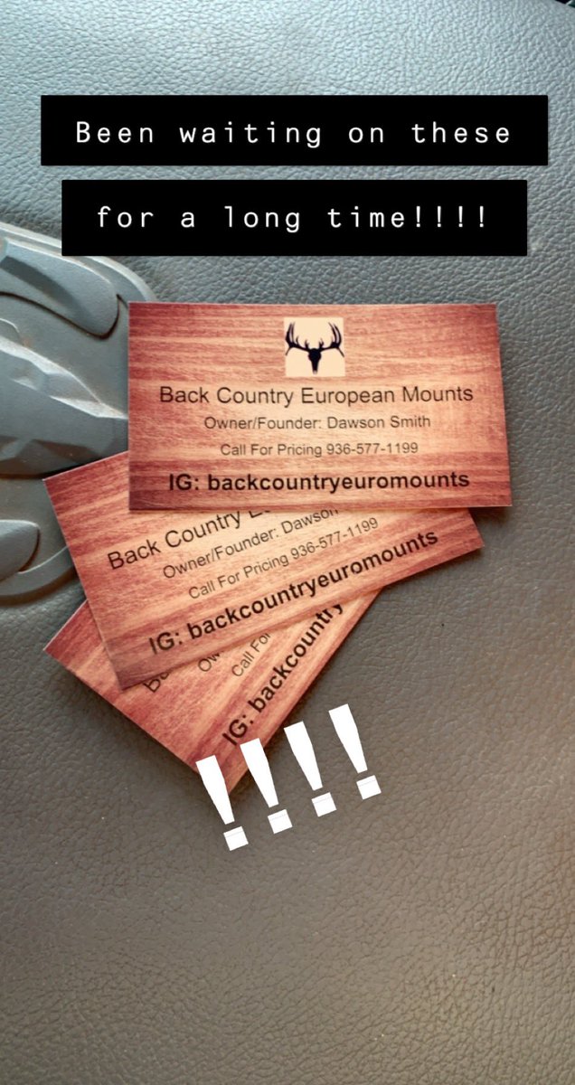 dsmith1199's tweet photo. For everyone that hunted opening weekend I’m accepting orders NOW!! #BackCountryEuropeanMounts https://t.co/xLU3BVJWff