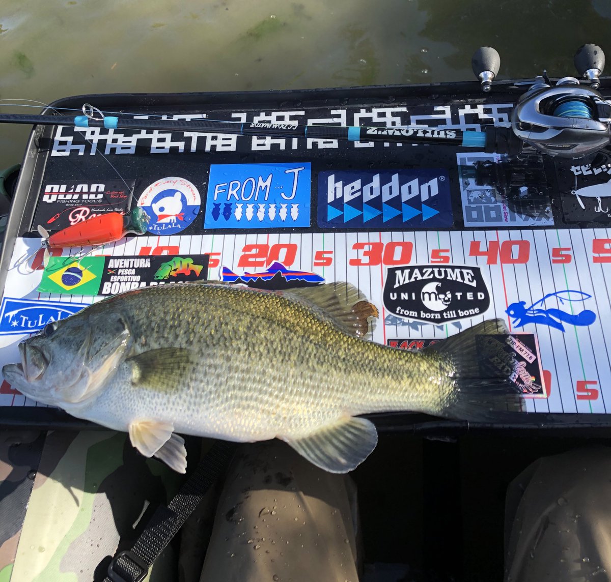kent8beat's tweet photo. いいおっぱいの日の翌日。
水面に浮いて水面が割れた。
#fromj #キャロット
#quadfishingtools #gcdominator https://t.co/oEnx2474R5