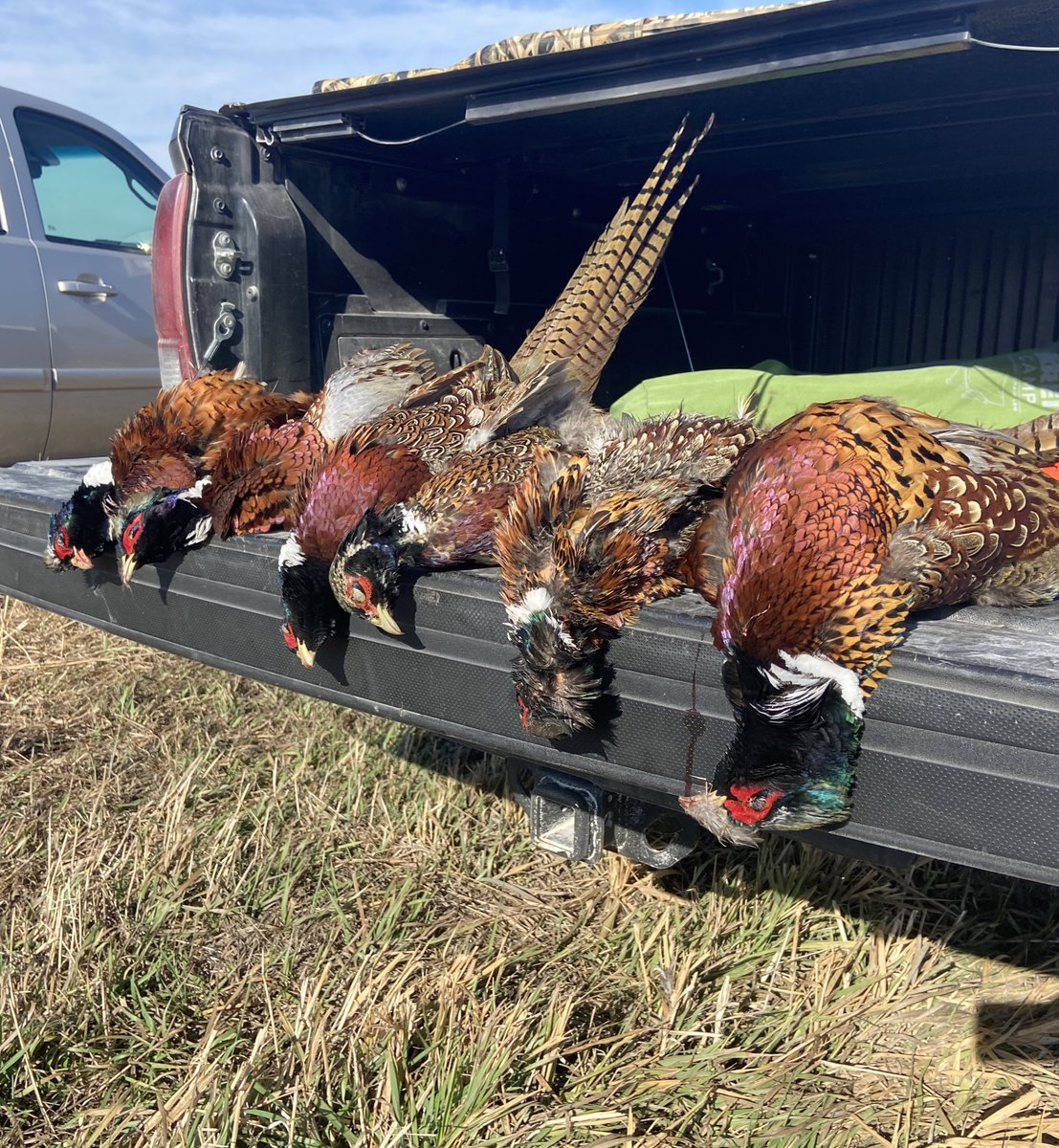 How it started:              How it’s going: